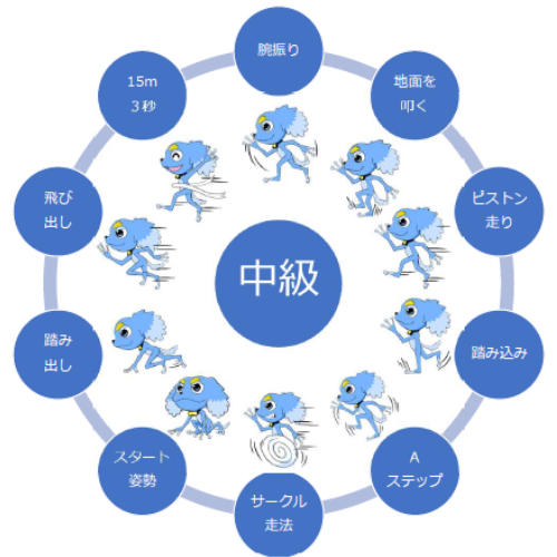 DASH15速く走るための項目